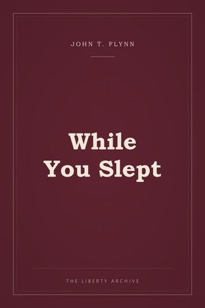 Cover of While You Slept