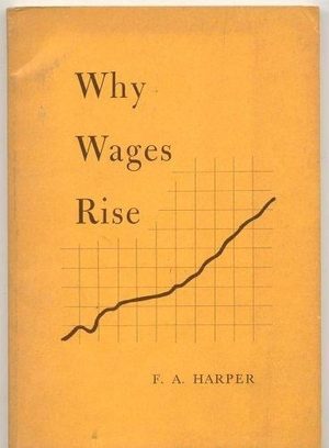 Cover of Why Wages Rise
